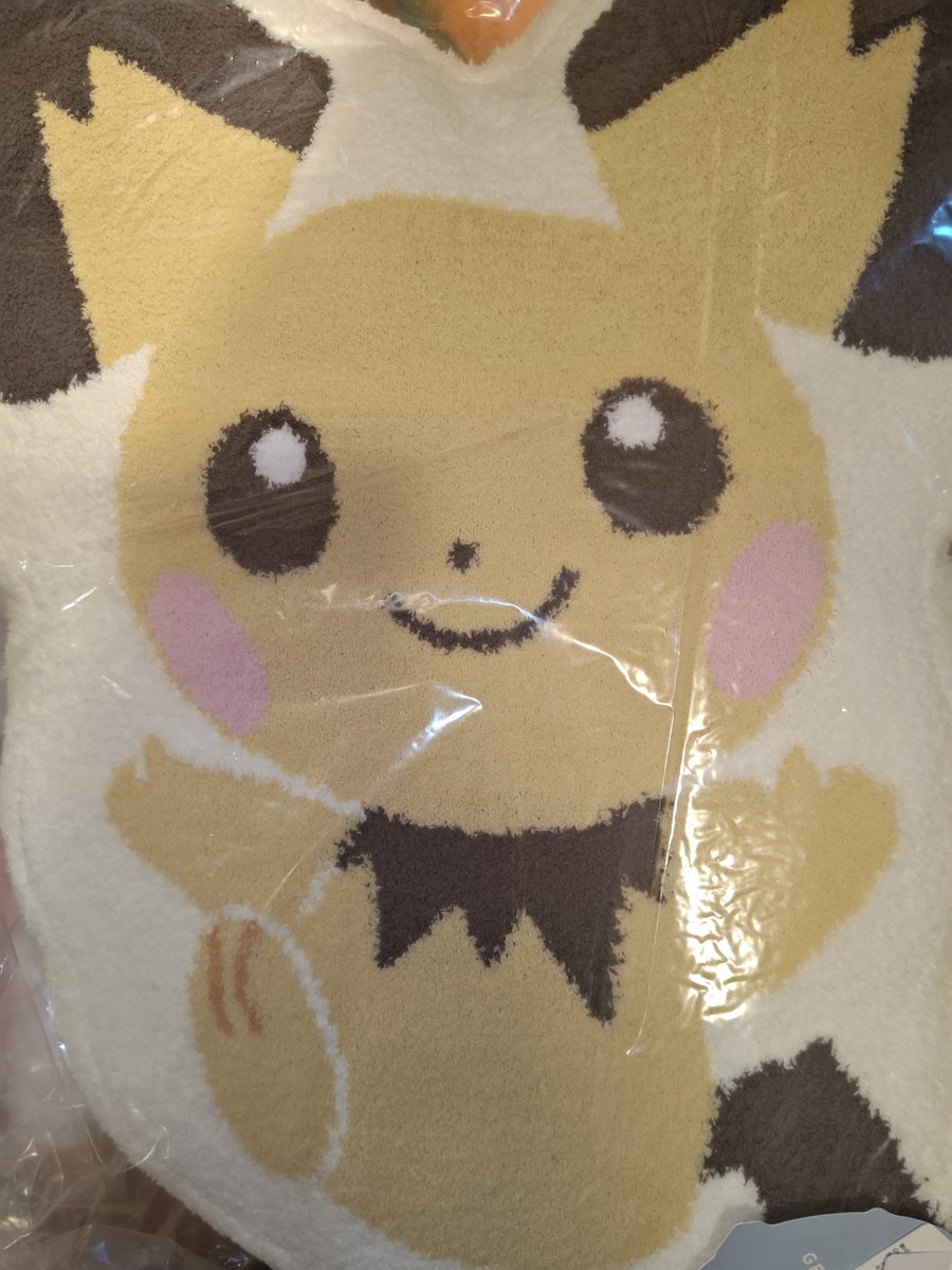 F15mobius's tweet photo. ジェラピケのピカチュウ一家が届いた！
かわいい… https://t.co/AW9tlgffhL