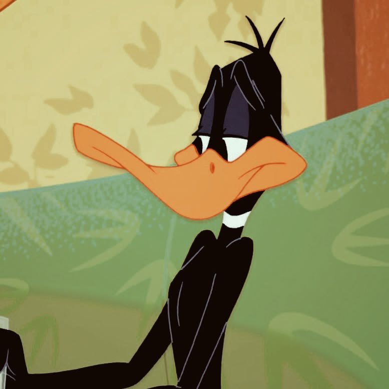allisonyayy's tweet photo. daffy duck is my close and personal friend that i care and worry for https://t.co/mODXF7hvxd
