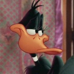 allisonyayy's tweet photo. daffy duck is my close and personal friend that i care and worry for https://t.co/mODXF7hvxd
