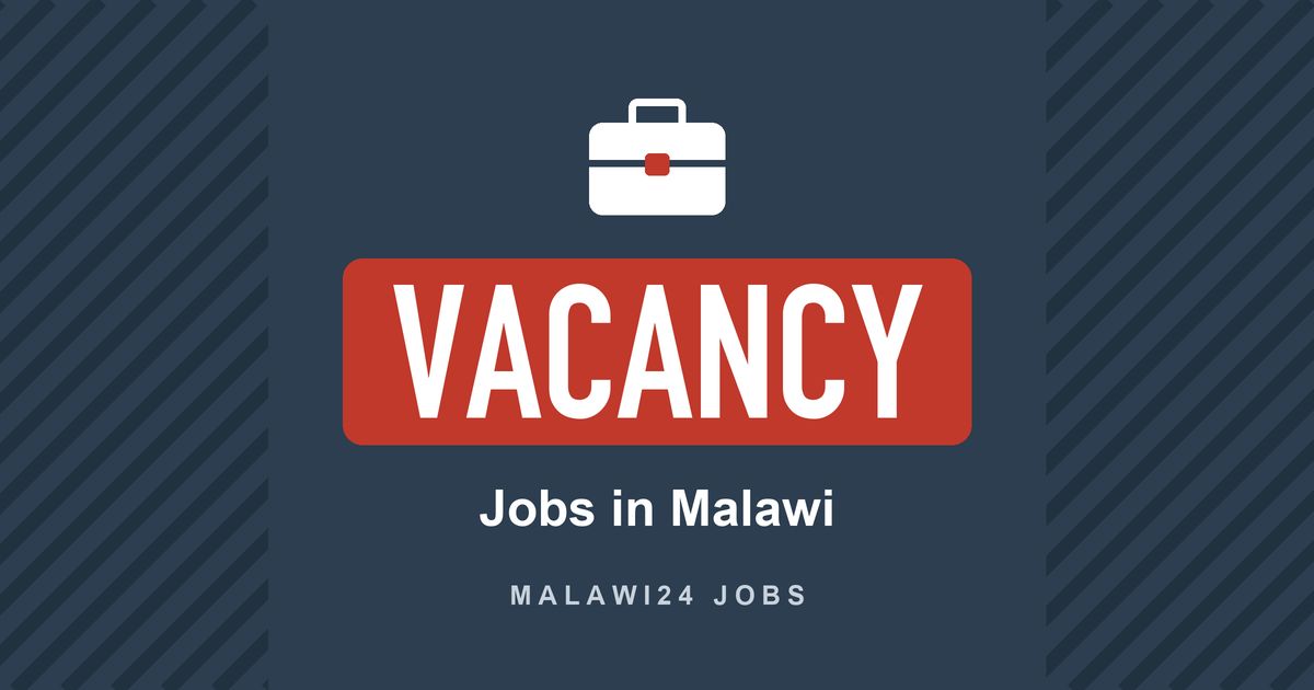 Malawi24's tweet photo. Vacancy: Are you job hunting? 

Here are the latest job opportunities in Malawi and neighbouring countries. 
https://t.co/4Y2d8XFsxX https://t.co/8oYxUBsK8C