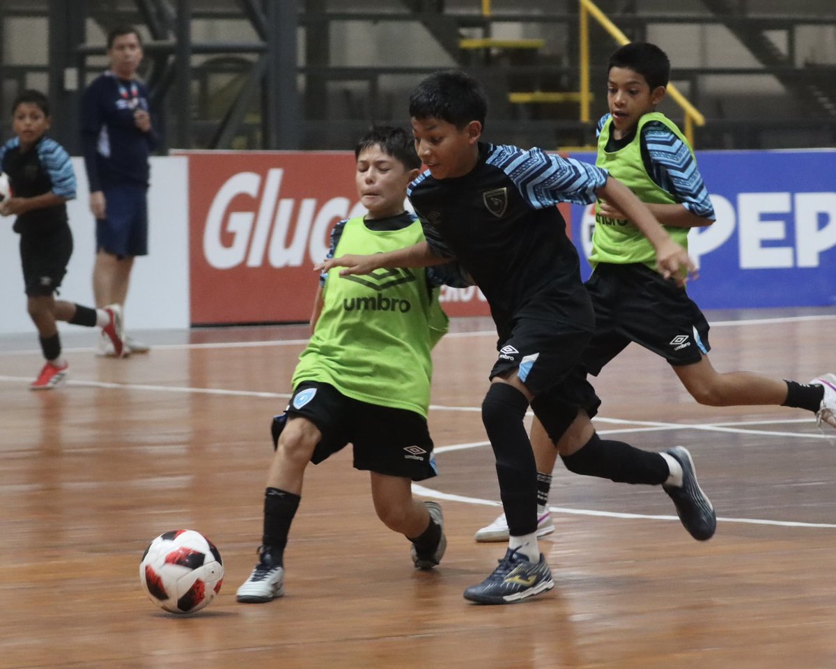 fedefut_oficial's tweet photo. TDS FIFA-FFG U13 FUTSAL | CIERRE DE MICROCICLO 💪⚽🇬🇹
La Selección TDS U13 FUTSAL cerró su microciclo de trabajo en las instalaciones del Domo Gerardo Paiz.
#VamosGuate #VamosChicos https://t.co/HxsimwMULr