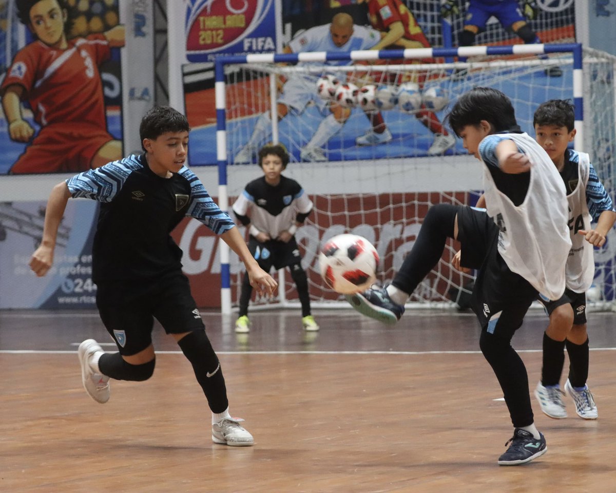 fedefut_oficial's tweet photo. TDS FIFA-FFG U13 FUTSAL | CIERRE DE MICROCICLO 💪⚽🇬🇹
La Selección TDS U13 FUTSAL cerró su microciclo de trabajo en las instalaciones del Domo Gerardo Paiz.
#VamosGuate #VamosChicos https://t.co/HxsimwMULr
