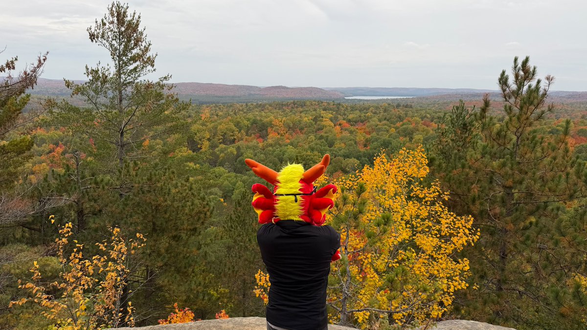 RonnieNoodles's tweet photo. Needed a bit of nature noodle therapy today 🍂🐲🍁 https://t.co/KtTh2Rry8d
