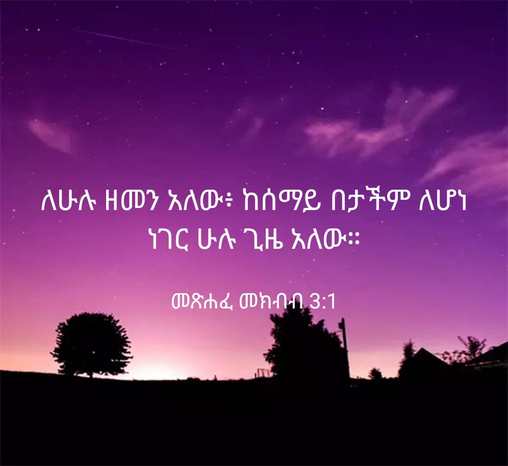 GogneEndale's tweet photo. @AbiyAhmedAli https://t.co/DeRgctTjLJ