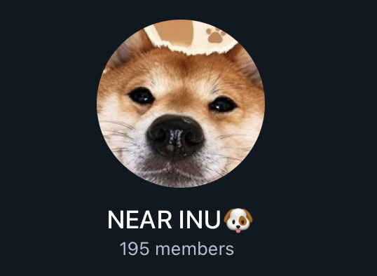 NEAR_INU's tweet photo. NINU family keeps growing

Almost 200 Telegram members &amp; 1,000 holders

https://t.co/qSJSK1z5zY https://t.co/5VluiAdGmF