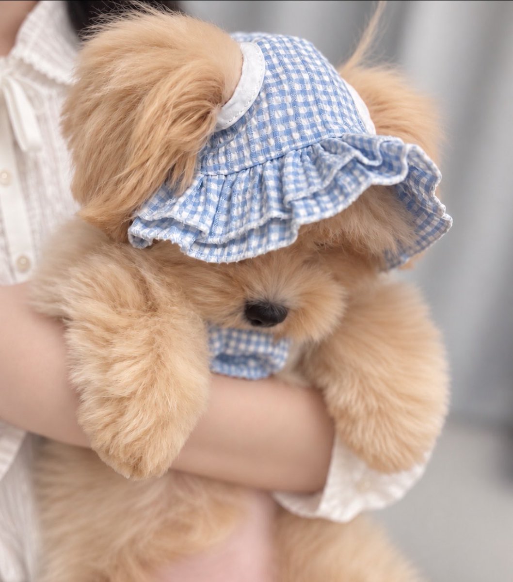 putit_lovelove_'s tweet photo. 初めてのお洋服を買ってもらった赤ちゃん、まだ状況を理解していないご様子 https://t.co/v3YIEKahHv