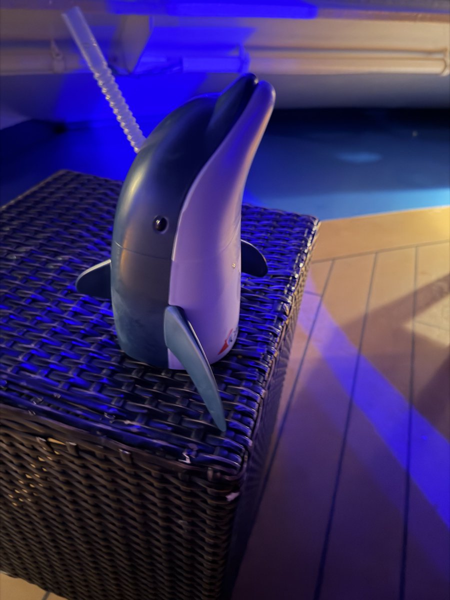 logycatt's tweet photo. FUCKING DOLPHIN CUP #HELLYEAH https://t.co/3alaVXLhJU