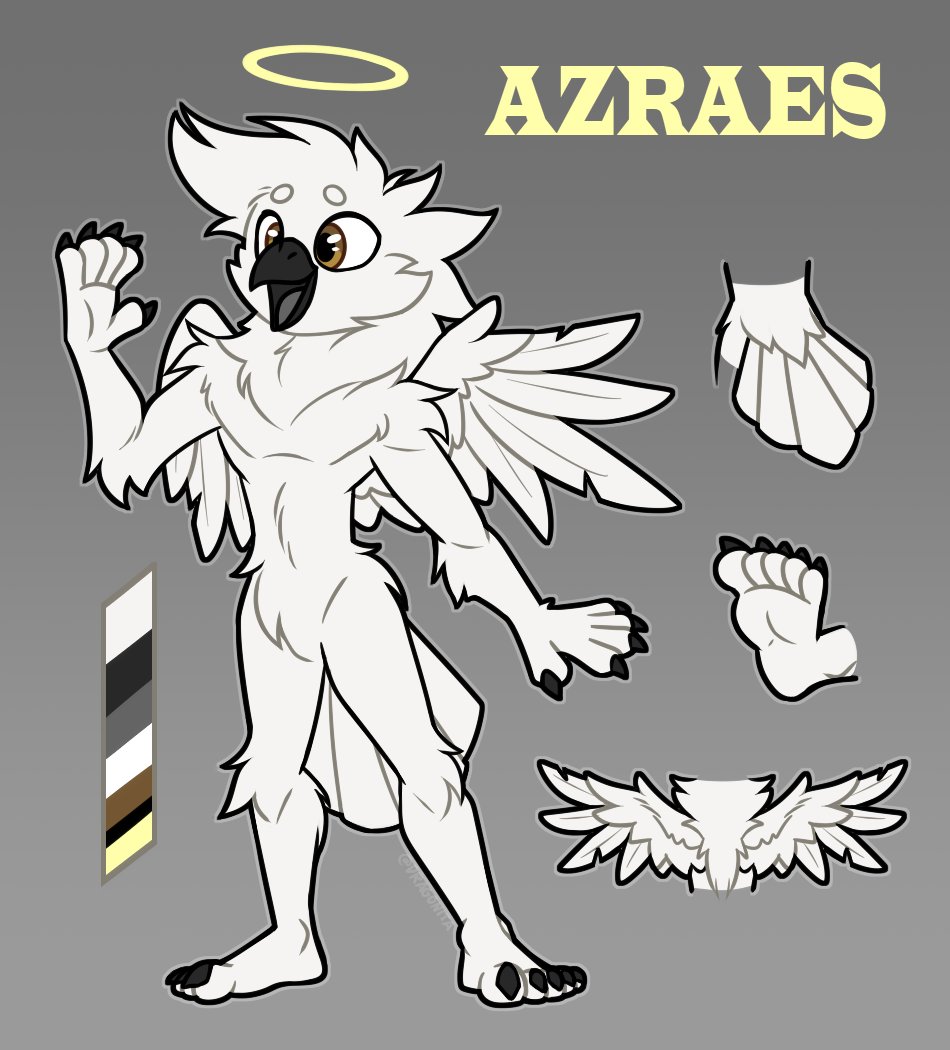AzraesTheBird's tweet photo. Finally got a proper ref of my bird made. Genuinely so happy with how it came out. Give a proper hello to Azraes!

#bird #furry #furryart https://t.co/ouVNMDBzlD