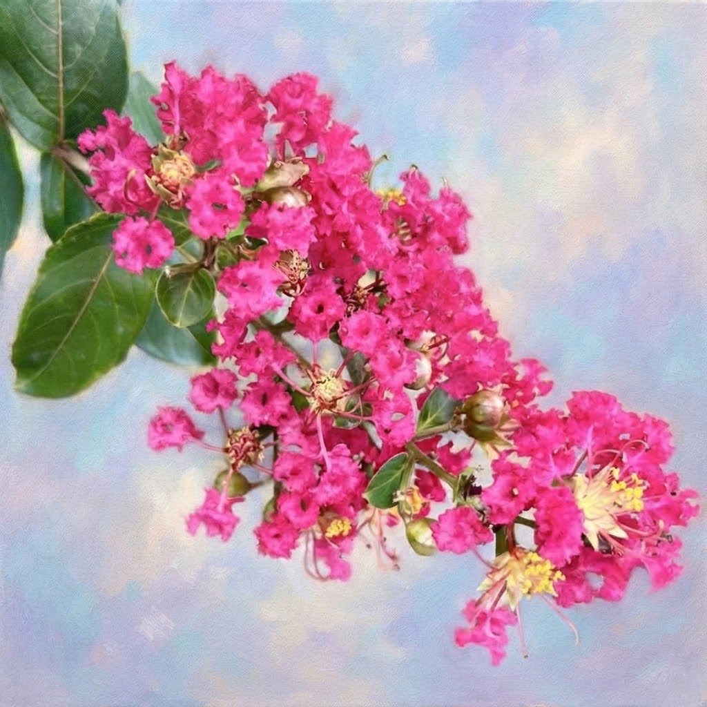 MakiHisa888's tweet photo. 登る途中
気づけばするっと
滑ってる🐵

#お花de短歌 #短歌 #Waka #tanka
#AIart️️️️️️️️️️️️️️️️️️️️️️️️️️️️️️️️️️️️️️️️️️️️️️️️️️️work #Genini #Geniniart 
#Pronptart #PlantsArt #PlantsPlanet https://t.co/JJMveIlIDs