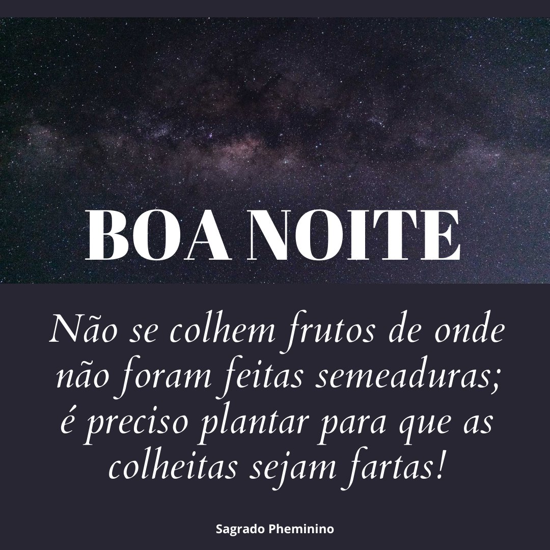 pheminino's tweet photo. BOA NOITE
Não se colhem frutos de onde não foram feitas semeaduras; é preciso plantar para que as colheitas sejam fartas!
#boanoite #frases #mensagenspositivas #frasesmotivadoras #reflexão https://t.co/ptUrJ2Lgl5