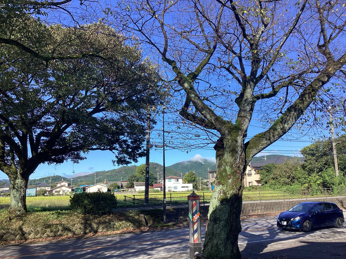 Master_45110's tweet photo. 10日1日(木)  本日は晴天なり

青空ひとりきり　店前にて57歳　太陽の光　浴びてます

いつもより早く起きて　駐車場　落ち葉のお掃除
「◯◯ちゃん　大変だねっ　　お父さんもやってたよねっ笑」
父が亡くなって25年経つのに　「跡継ぎしっかりやれよー」
と言われた気分笑　　引き締まります。 https://t.co/syZtsLn1dk