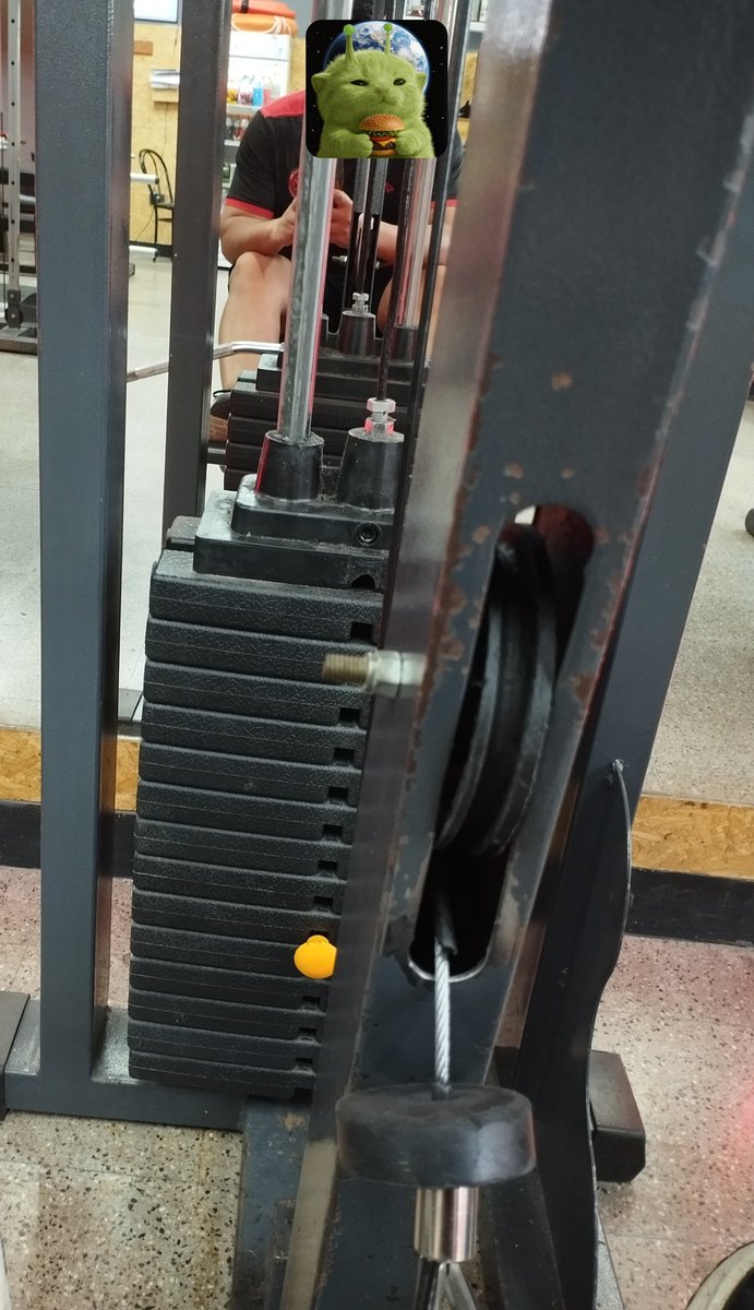 Fabbi_TV's tweet photo. Hoy fue un día muy productivo 
Trabaje y me adiestre físicamente en el laburo. Fui al gimnasio y ahora estoy rellenando datos tecnicos de armamento básico.
Que buen cumpleaños viejo 🤡

Feliz cumple pa mi 💪🏽 https://t.co/yTEFwPynmy