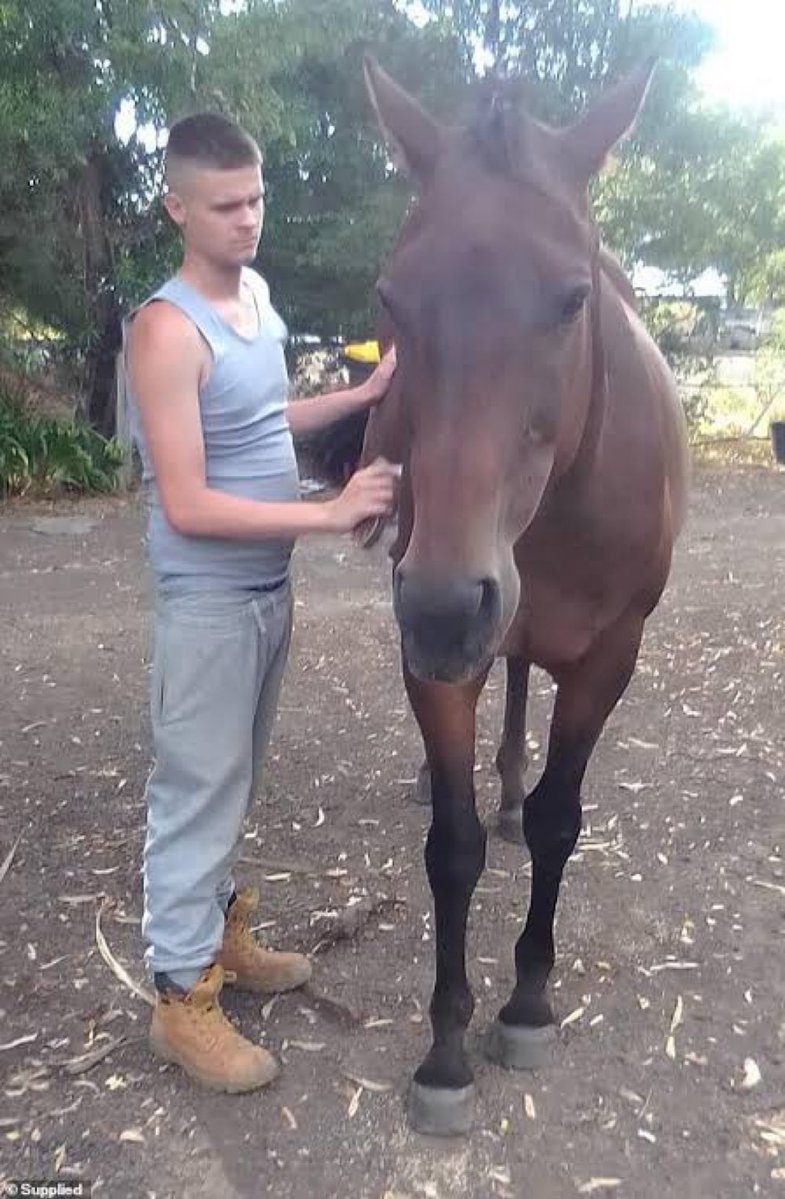 FreedomAus80100's tweet photo. Don’t forget about Declan Cutler

Declan was walking home from a party when he was randomly attacked by a group of 8 African gang members. 

He suffered 152 injuries, 56 stab wounds and 66 force wounds.

As he was dying they stole his shoes and stood on him to take selfies

Vote one nation save Australia 🇦🇺🇦🇺🧡