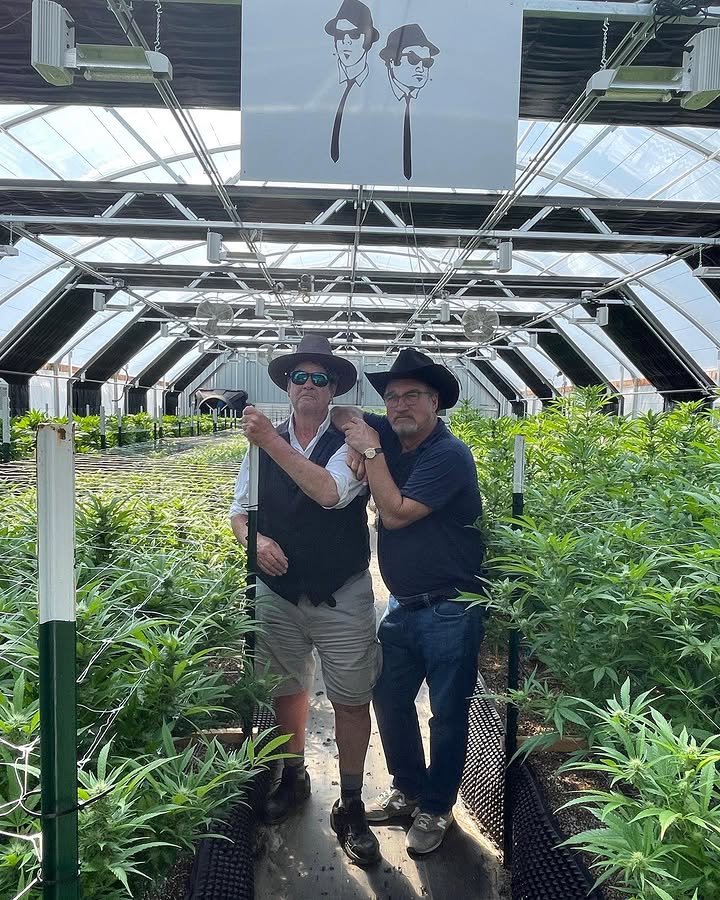 BelushiFarmOR's tweet photo. 💨 OG strains or new-school genetics? Which side are you on? https://t.co/GJYcL5DtNw