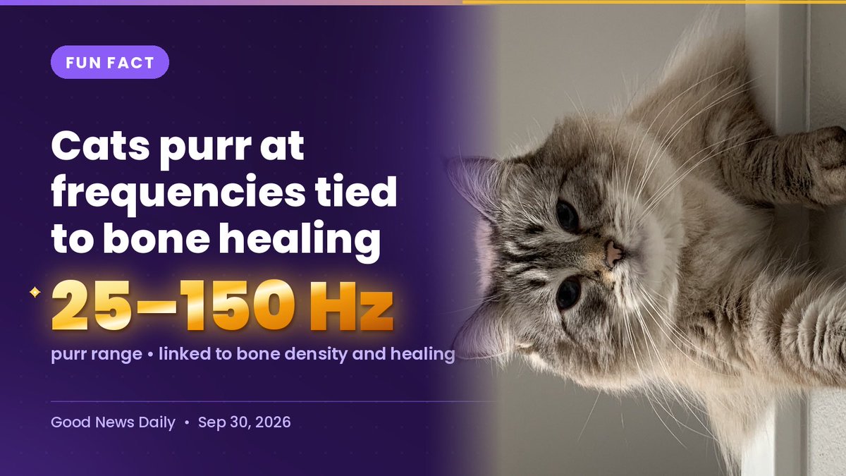 GoodNewsDailySW's tweet photo. 💭 I love my cat even more now!

🐱 Cats purr at 25–150 Hz—frequencies tied to healing

Scientific American notes that range can improve bone density. 

Ari's purr may be a tiny spa. Feel the vibes?

https://t.co/LYR9sJaAOt https://t.co/QVyZqWHQRA