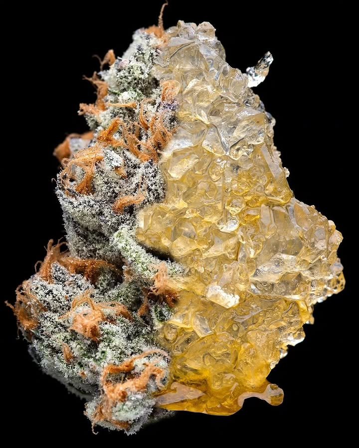 BelushiFarmOR's tweet photo. Diamonds 💨☘️ https://t.co/TMQ7UdW3vL