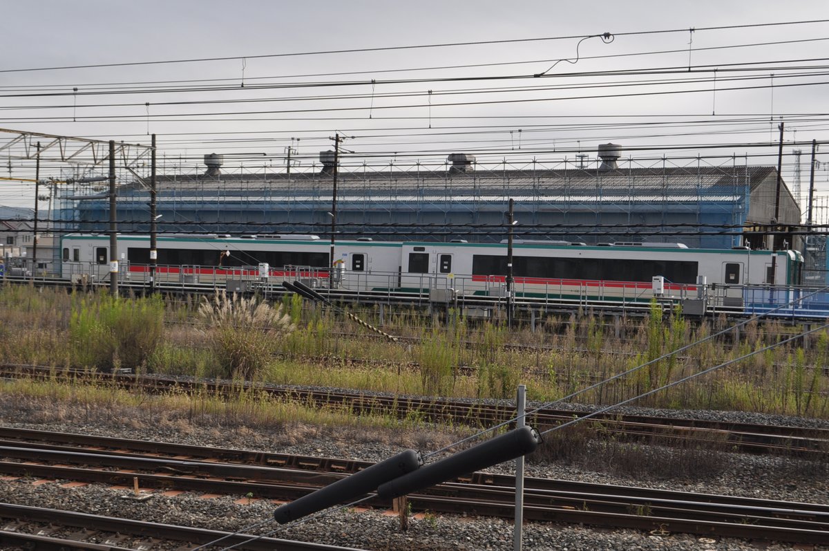 Michinoku_350's tweet photo. 2026/10/1
キハ111-220+112-220 仙台車両ベース(小牛田)にて
脱線事故の報を聞いて見に行ったところこんな状態になってました https://t.co/PTAZu7ZRuK