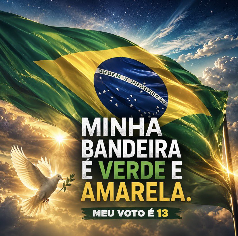 _dilmadebochada's tweet photo. Meu voto é Lula Presidente 13 https://t.co/eOrDF6eSIS