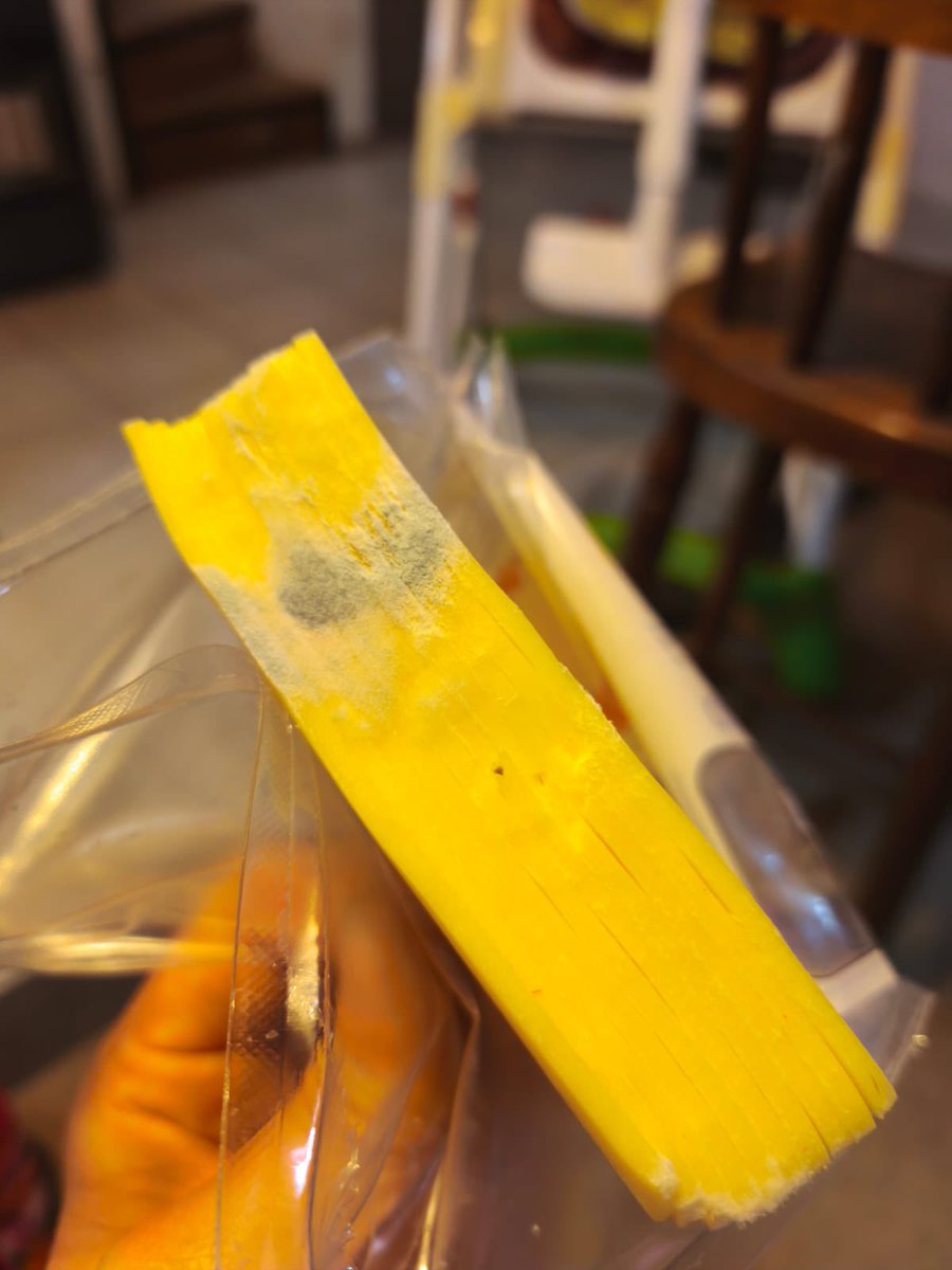 KarinaAndreaHB's tweet photo. Que se hace en estos casos? Lo más triste es que compramos dos y con el otro hicimos una lasaña y mi hija se enfermó. Alguna recomendación #Sernac? #Queso #Hongos https://t.co/BvTYfMX8d1