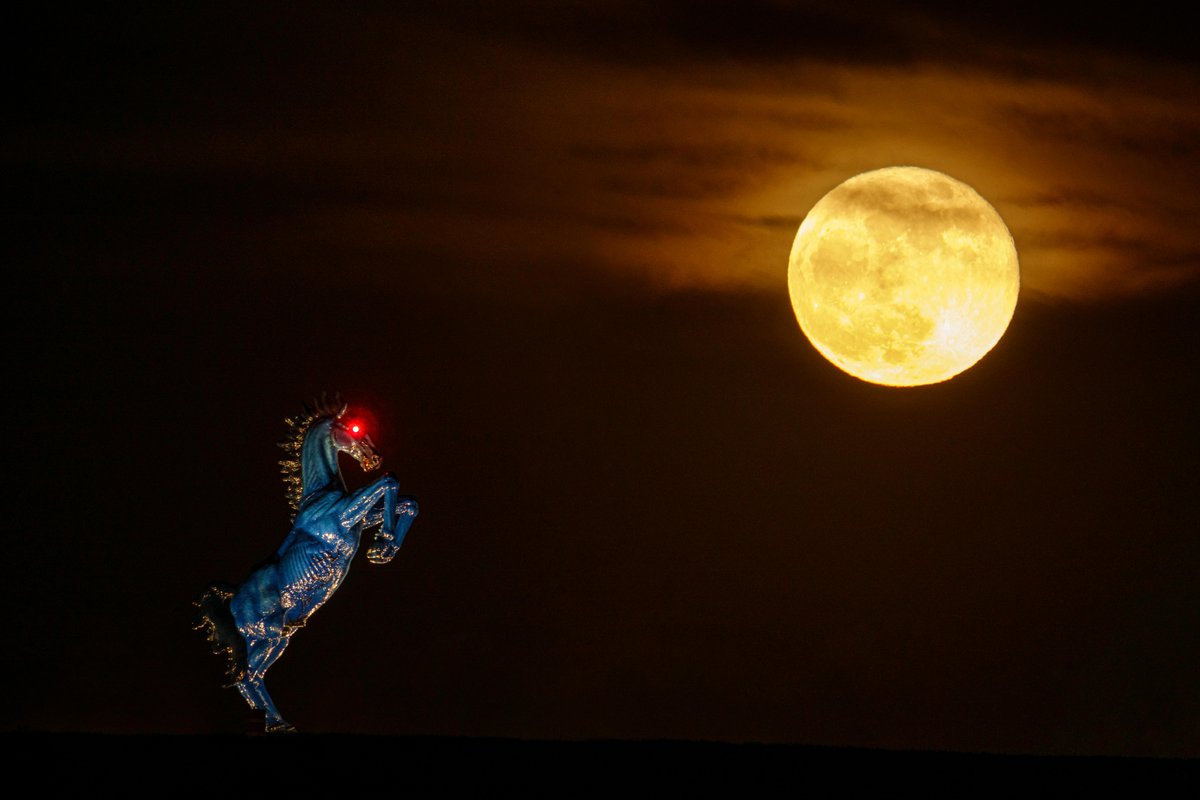 DENAirport's tweet photo. HAPPY SPOOKY SEASON! Or, as we call it... another day at DEN. 👻 https://t.co/YlsYg575Mg