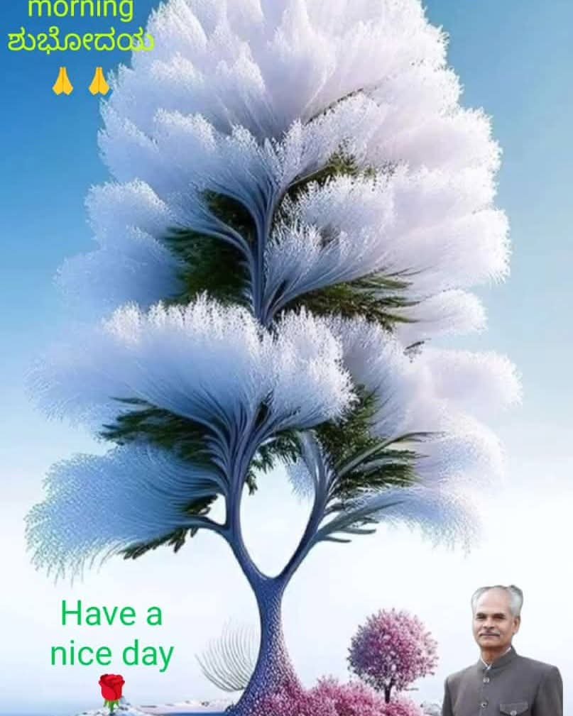 BanakarNagappa's tweet photo. https://t.co/fuD1HM627X