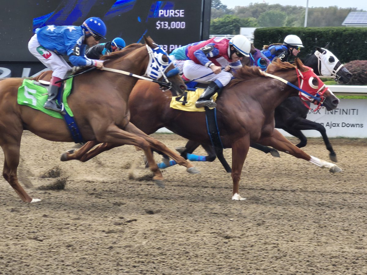 jensblog's tweet photo. A brilliant day at Ajax Downs on Wednesday, Sept. 30. Goodlookingperry reached out for her maiden win, Had to Be Valiant won a Picov Futurity trial and Sweet Kara won again! https://t.co/HNZBI4ga52
