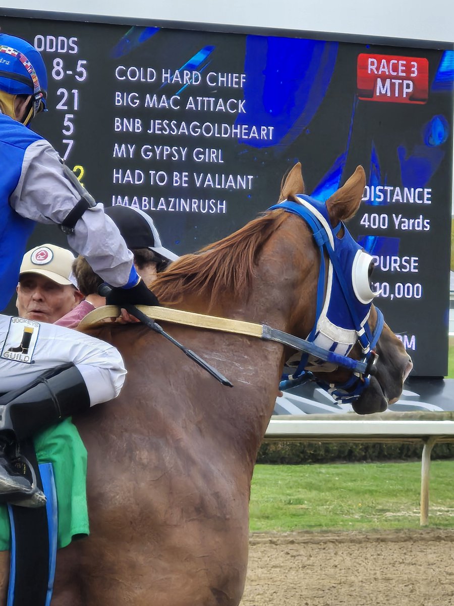 jensblog's tweet photo. A brilliant day at Ajax Downs on Wednesday, Sept. 30. Goodlookingperry reached out for her maiden win, Had to Be Valiant won a Picov Futurity trial and Sweet Kara won again! https://t.co/HNZBI4ga52