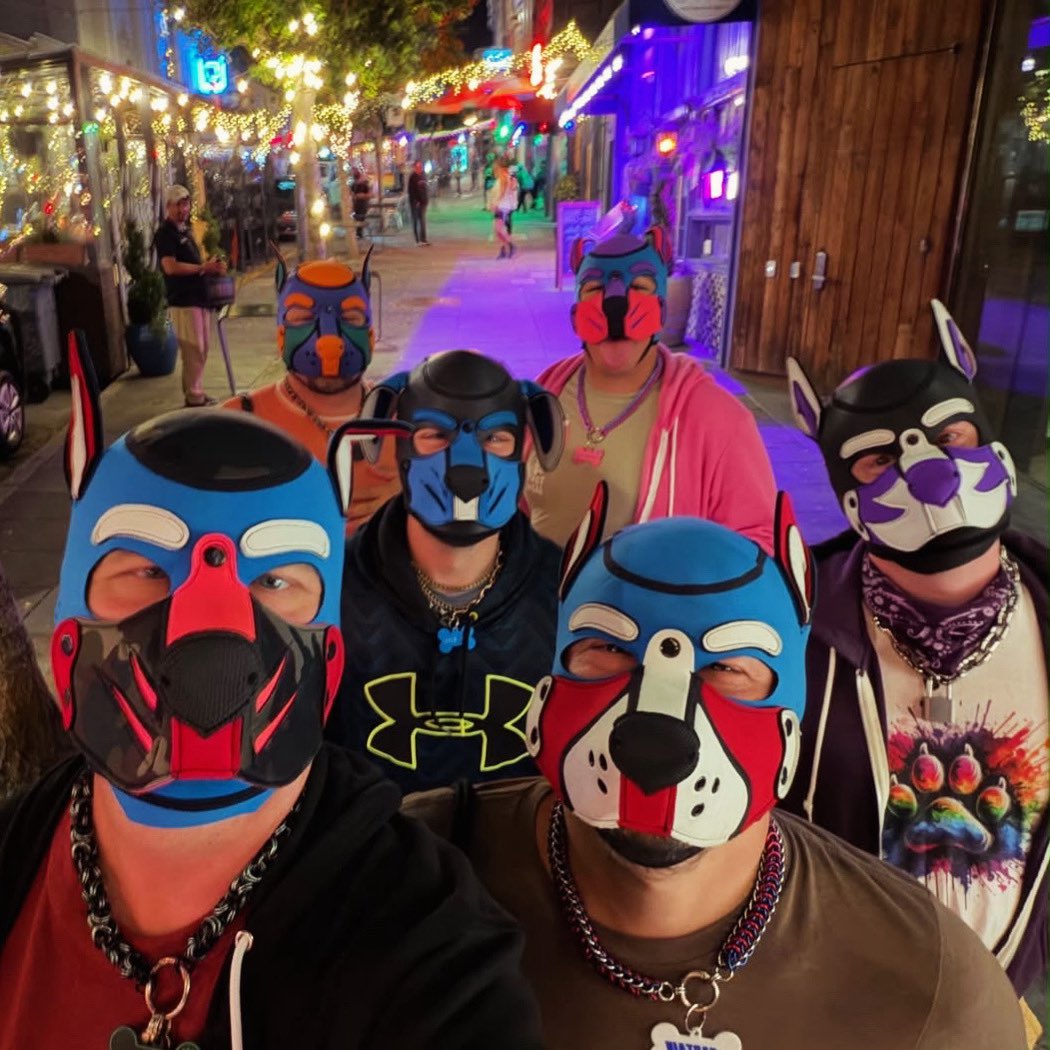 PupCodySF's tweet photo. Folsom SF isn’t over until we say it is. Doggos hitting up the Castro for one last bar-crawl. https://t.co/d05TtM44iz