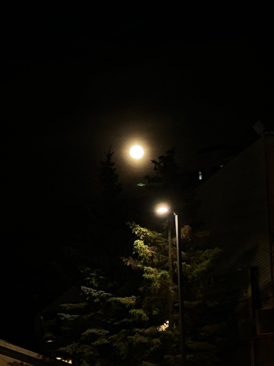 kimmisosoup's tweet photo. spent september staring at the moon https://t.co/nWE3tO4lXi