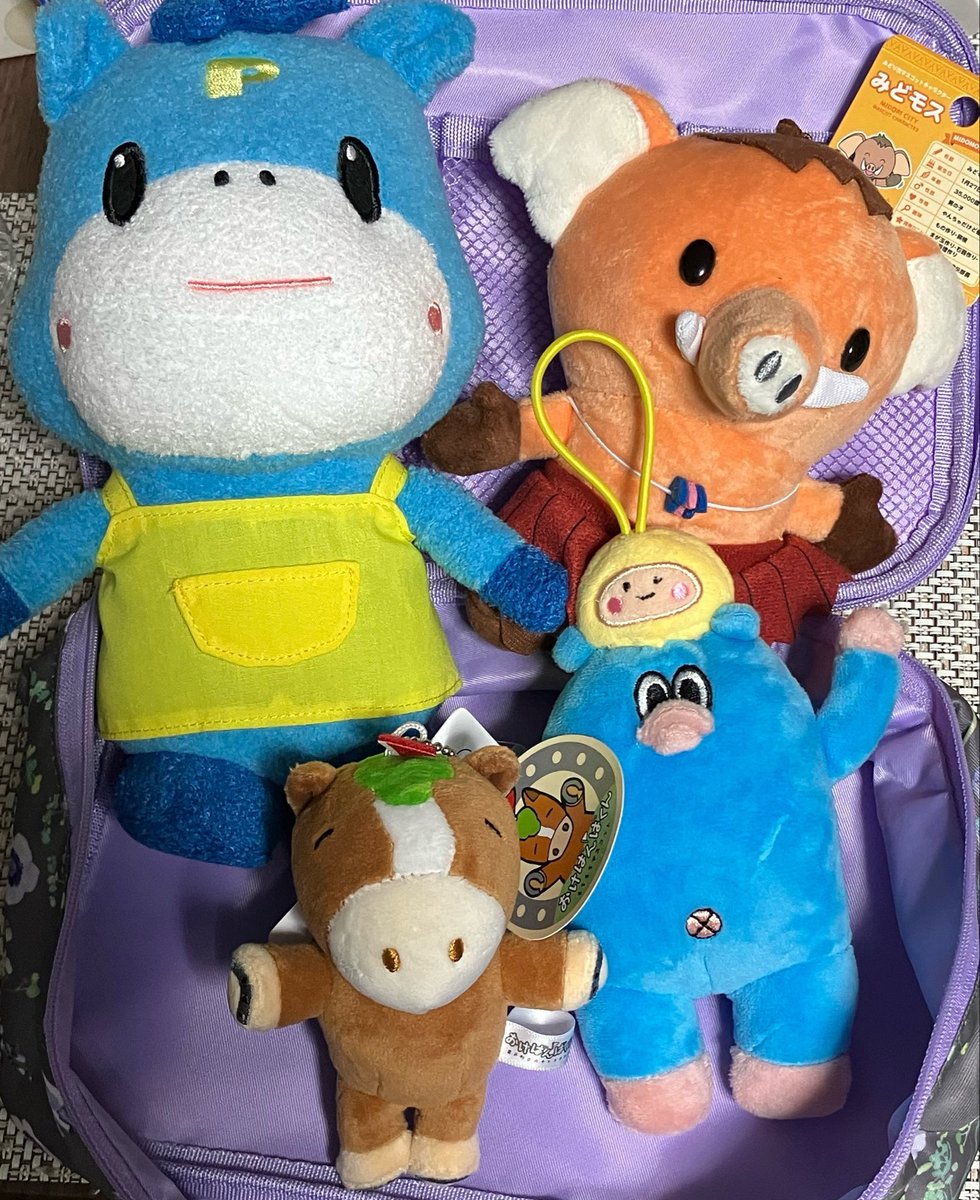 karakuritanuki's tweet photo. ご当地キャラカーニバル、
ポニ太くんも一緒！
お友だちは連れて行きたいよね。

あおまも群馬非公認キャラクターも青い馬、
ポニ太くんも青い馬！ポニー！
家で勝手にグループ結成🩵🐎

#ポニ太
#ポニ太くん
#ご当地キャラカーニバル https://t.co/lk3yWjIFlZ