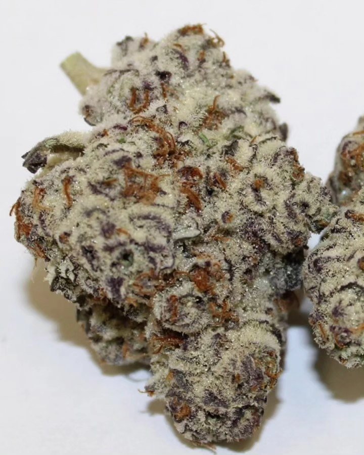 BelushiFarmOR's tweet photo. 🌱 What’s one cannabis opinion you have that you KNOW would start an argument in the comments? 😂👇 https://t.co/E5Olf0m9bC