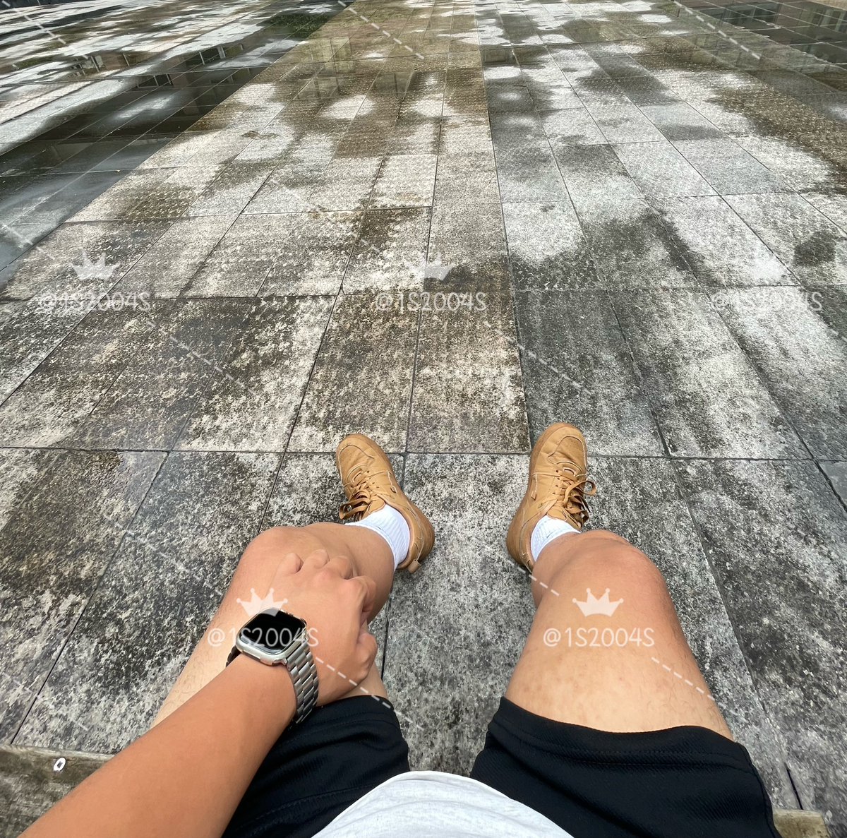 1S2004S's tweet photo. 跪在老子脚下舔老子的白袜，闻着你爹的原味，你的狗脑子越吸越爽，求着老子喂你吃🐔 #熊猴 #熊1 #猴0 #SM #贱狗 #熊s #猴m #无脑狗 https://t.co/6bePaJSrYs