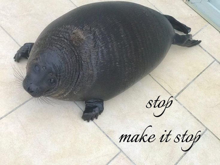 voidpile's tweet photo. mood lately (franjinha voltou) https://t.co/oPmexX50m1