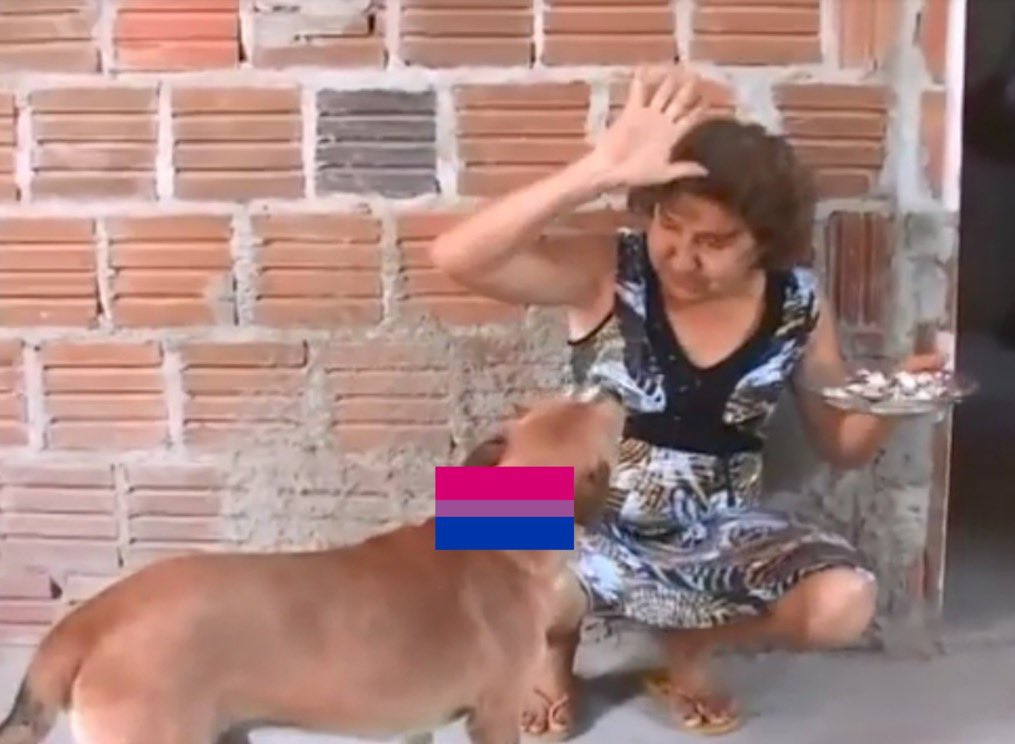parishthot's tweet photo. @LaraLarasha na verdade é pq bissexuais são lesbofobicos homofóbicos e síndrome de protagonista https://t.co/wPZZ67dldq