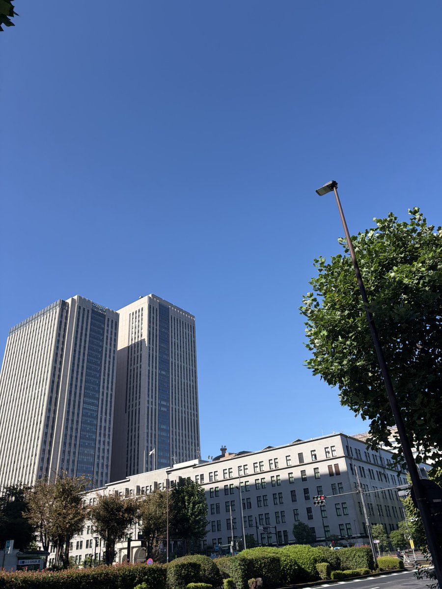 taruo's tweet photo. 今日は久しぶりの快晴。
日差しが懐かしい https://t.co/QpXQHVtZSD