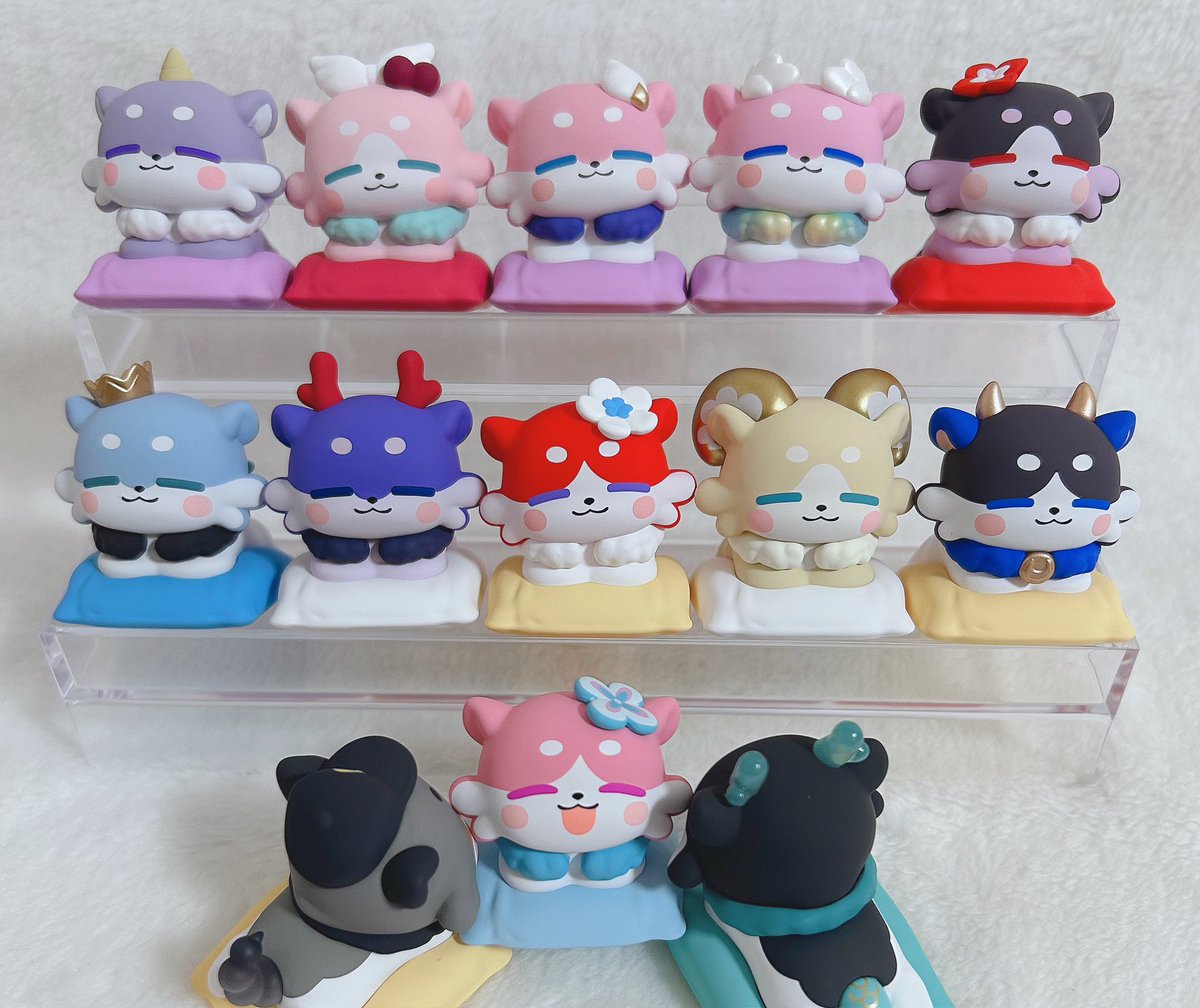 potapochi's tweet photo. 資料提供。 https://t.co/burugTLfH9