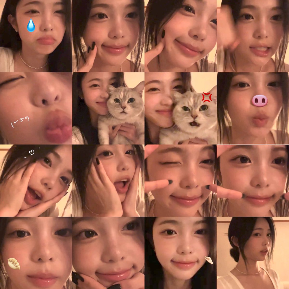 imnotachan's tweet photo. https://t.co/7UkfhXl70y