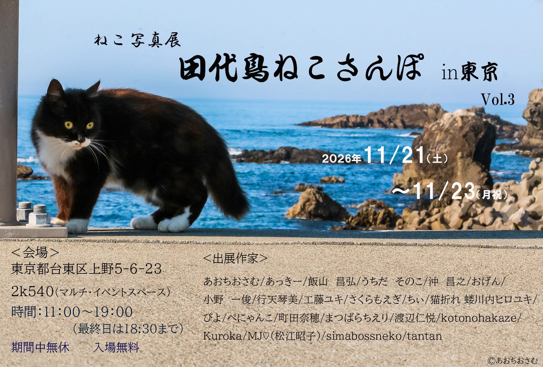 おいにゃん♪（老猫） on X: 