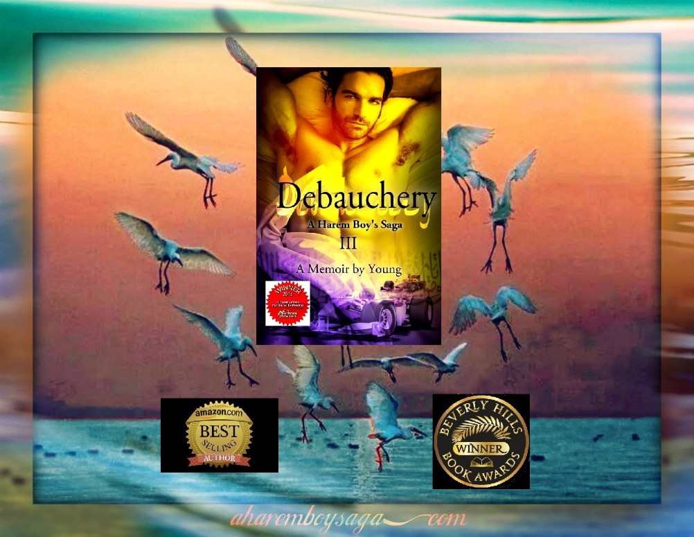 FoongFoo34491's tweet photo. DEBAUCHERY https://t.co/fUoFojBIwX is the 3rd book of a #lovestory between a young man and his chaperone while maneuvering through the mine-fields of a Middle Eastern harem in the mid-1960s.
#GoodBook #BookBoost #WritingCommunity https://t.co/JZNGYDmMyE