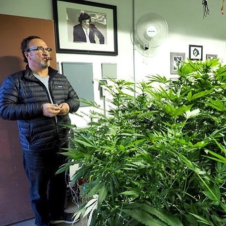 BelushiFarmOR's tweet photo. So weed has official surpassed both alcohol and cigarettes for being the most used daily substance among American adults 😏 

It looks like people are finally starting to realize how bad alcohol actually is 🤢 https://t.co/jrpzuhn7CU