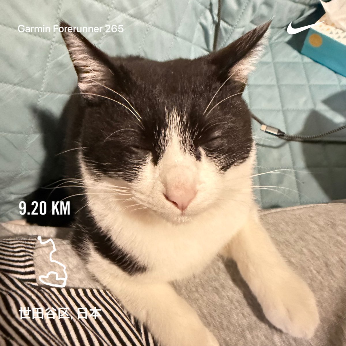 junko0713's tweet photo. 2026/09/16

今日のお題は「5kmペース走＋２km」

かなり設定タイムに近く走れた気がするんだけど、最初の5キロがちょっと早すぎたかも？

最後の2キロは気持ち良く走れたのも良かったです。

Nike⁠ Run Club アプリで 9.21 kｍを走りました

#ランニング
#GARMIN https://t.co/zlCRJ23HN2