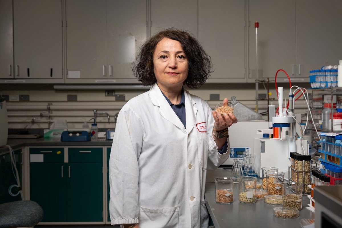 uswheatassoc's tweet photo. 📝 "Science, Service and a Passion for Wheat: Dr. Senay Simsek Helps Connect #USWheat to the World." vis @uswheatassoc 

https://t.co/YzCsiHni28

@PurdueAg 
@NDSU https://t.co/by6ufZCQpz