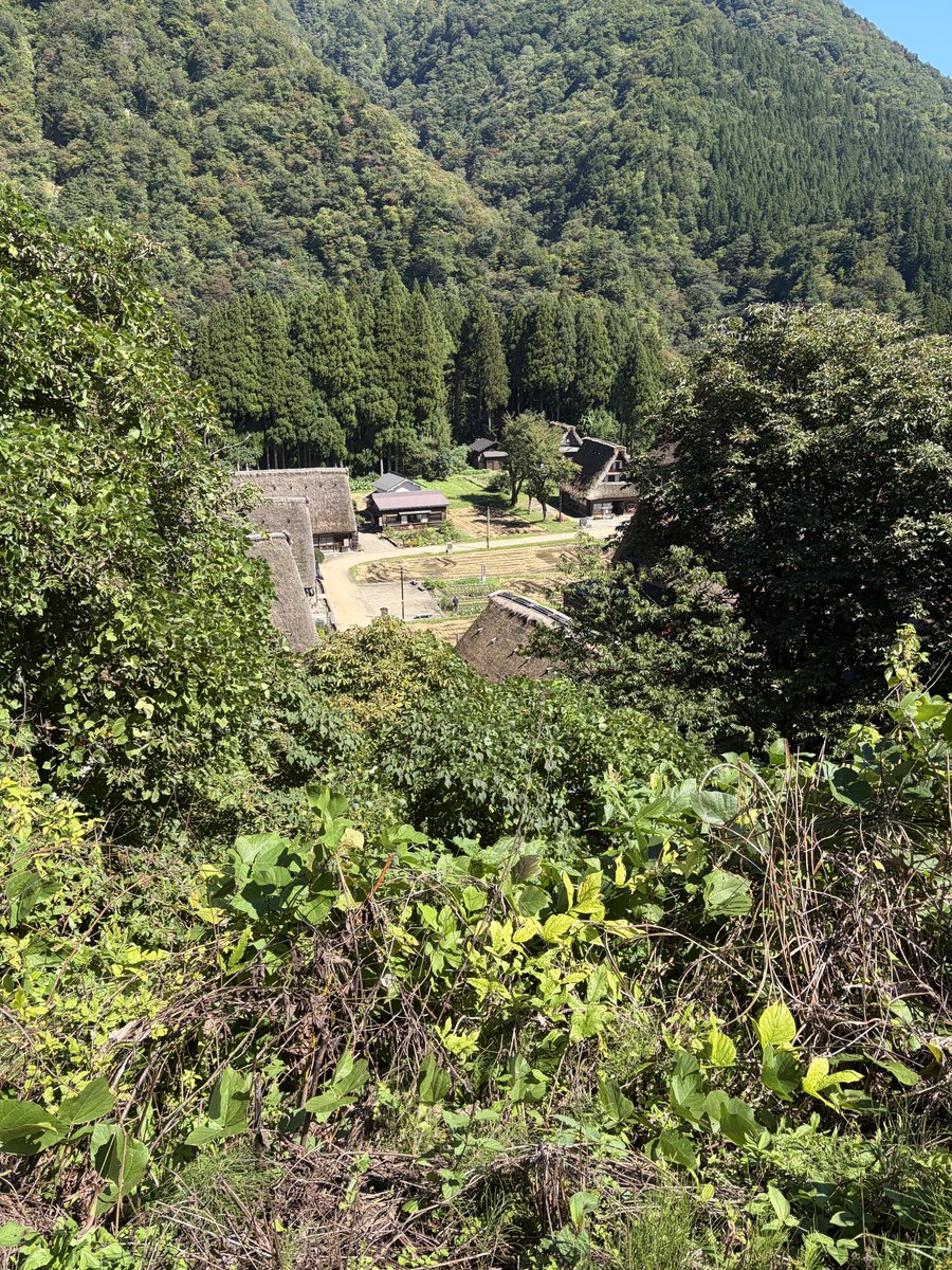 _21miya's tweet photo. おはようございます。

昨日、富山県にある「カレー工房仁」さんでランチをいただいてきました。
注文したのは、チキン、ポークキーマ、ホタテの3種が楽しめる「ともえがけ」。
3種類とも全く異なる味わいで、特にホタテのカレーが個性的で好きな味でした。
ご馳走様でした。 https://t.co/M7L4Zw1AKf