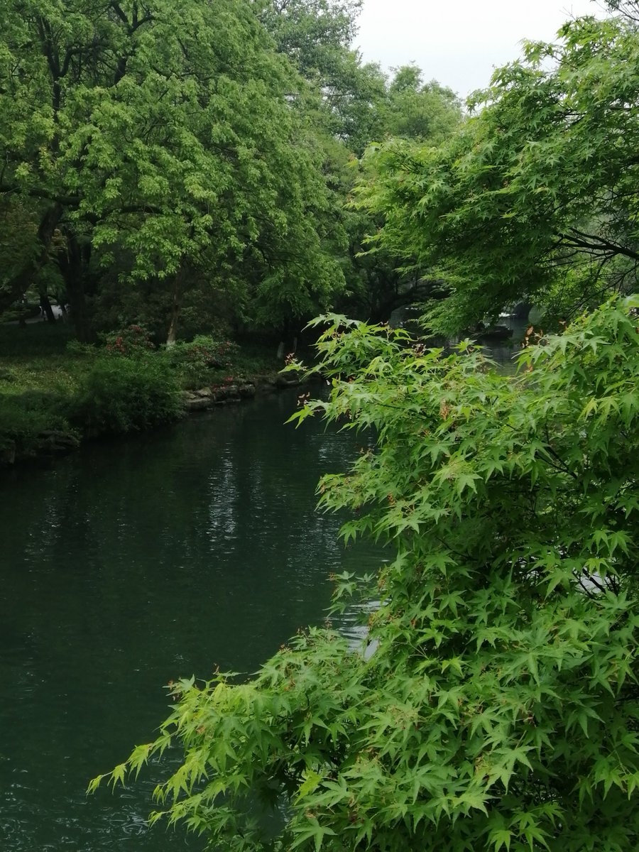 dirohodri's tweet photo. [The clear river flows, hey, those disciples stand here quietly] https://t.co/eJmxVCchrm