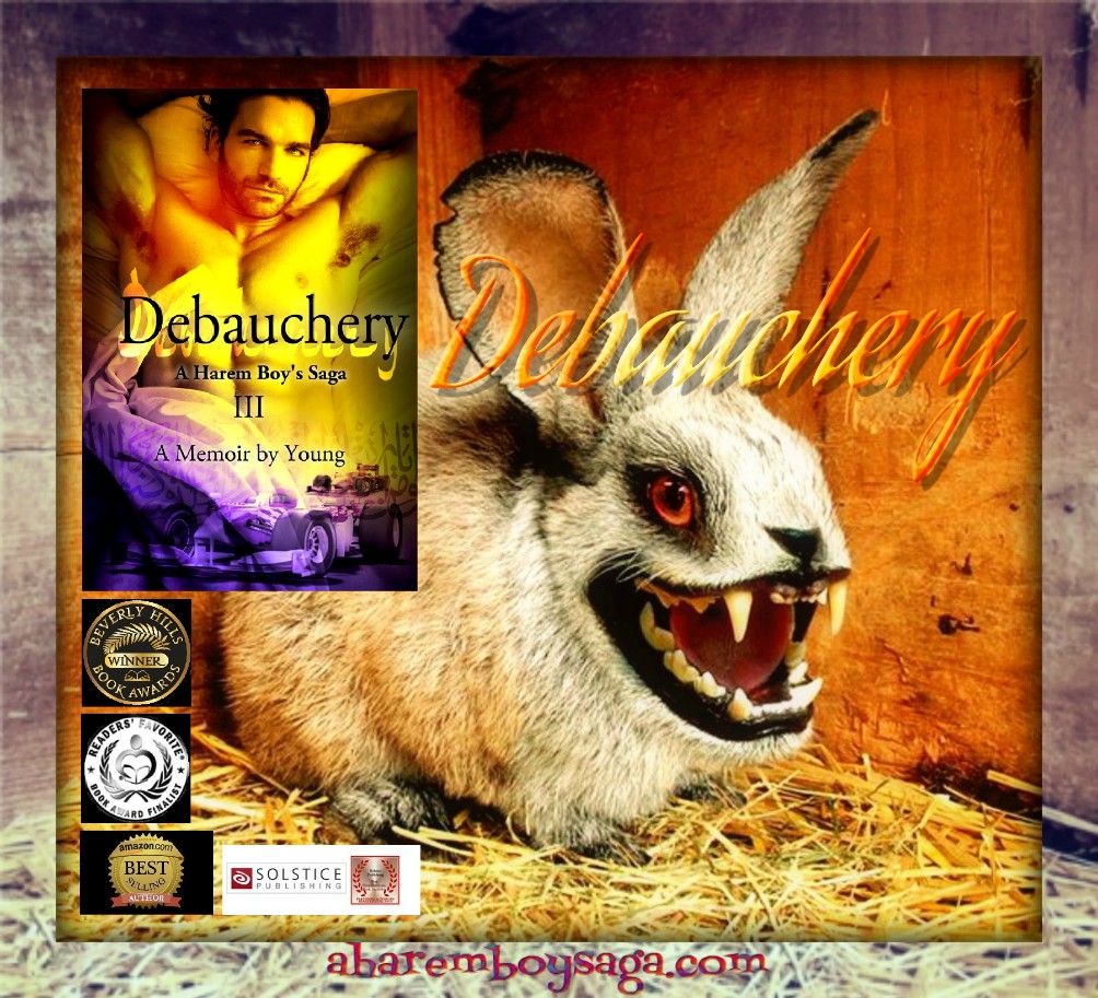 FoongFoo34491's tweet photo. DEBAUCHERY https://t.co/fUoFojBaHp is the 3rd book of a #lovestory between a young man and his chaperone while maneuvering through the mine-fields of a Middle Eastern harem in the mid-1960s.
#GoodBook #BookBoost #WritingCommunity https://t.co/9k1ENTKy8H