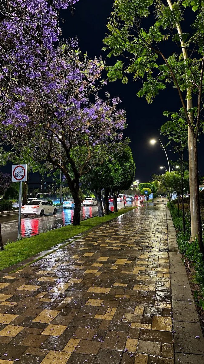 Medoo0800's tweet photo. .

ليله خمـيس وبداية اكتوبر والليآلي البارده
هذي الليله اللي ينقال عنها يـ بدايات المحبه
وتستاهل التراااااااااحيييييييببببب 🤍☁️

#أبها 🇸🇦💚 https://t.co/66ILV7BnEu