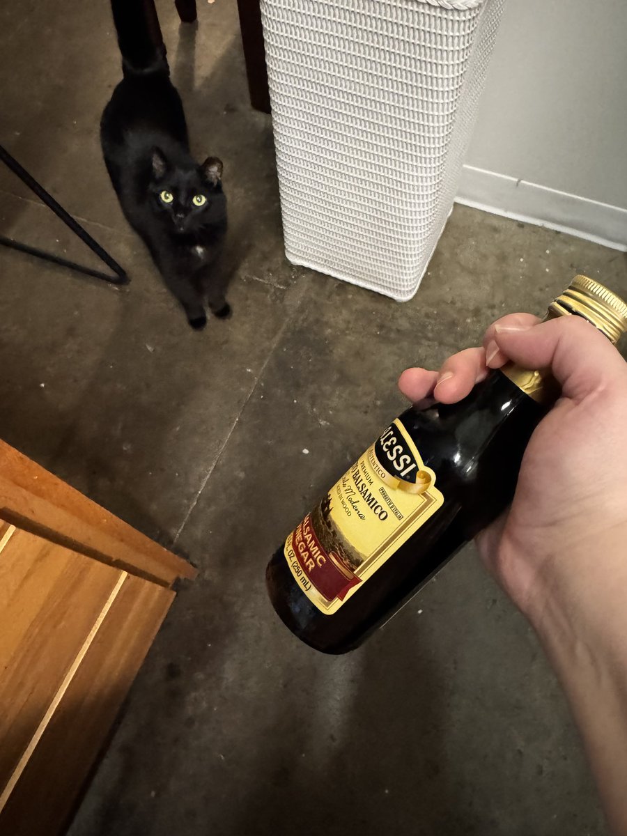 torinelsonart's tweet photo. he thought I was cracking open his wet food so he came running only to realize he was begging for balsamic vinegar https://t.co/qZl4BDAasd