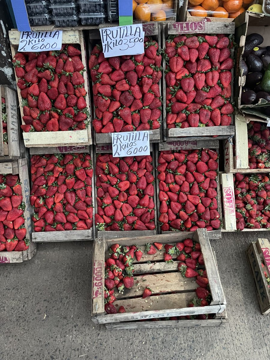 pidoelsilencio's tweet photo. el mundo está horrible pero hay frutillas y jazmines y fresias ❤️ https://t.co/L3ajw6jrEr