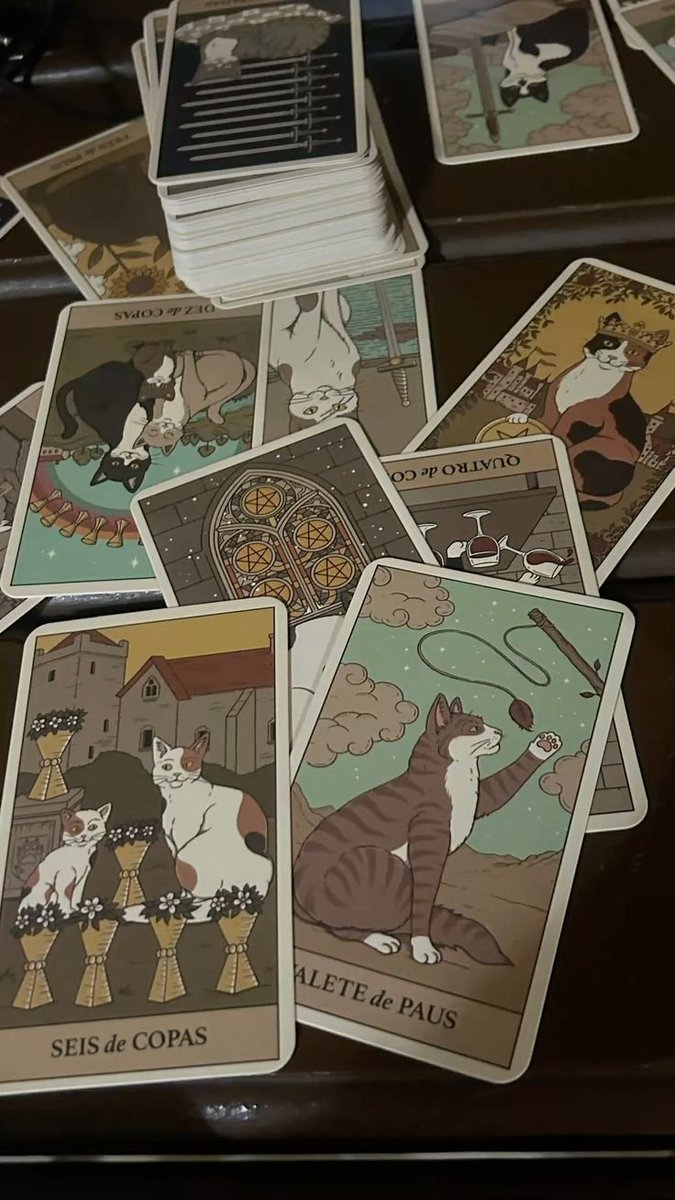 Aramistal's tweet photo. La emoción me duró 5 minutos, pero bueno, miren el hermoso mazo de gatitos que compré 🥺 https://t.co/o54koPQAPE