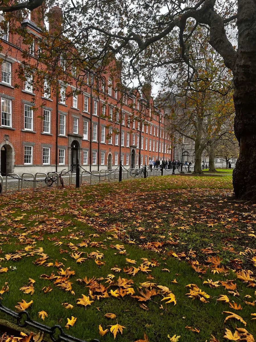 pinkdalbit_'s tweet photo. Obsesionada y el año que viene tendré por primera vez en mi vida un otoño de verdad. Es que mirad como es Irlanda en otoño chicas: https://t.co/gnpEhqR7Q0